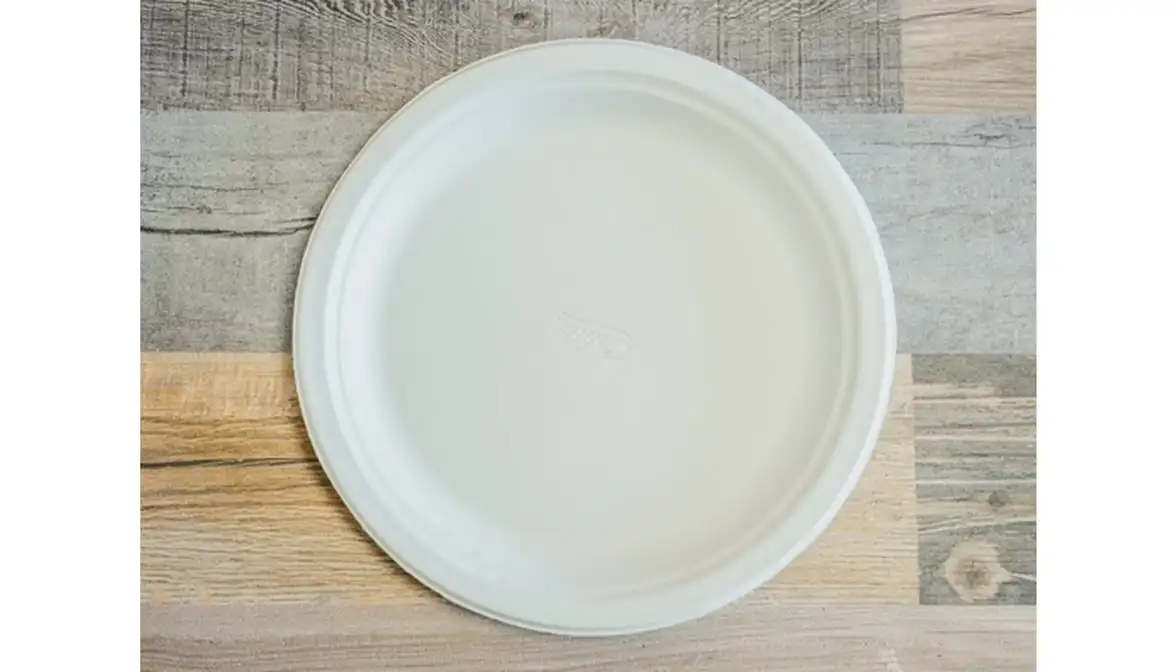 Paper Plate.